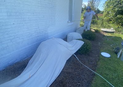 Person spray-painting a white brick wall; bushes are covered with sheets for protection.